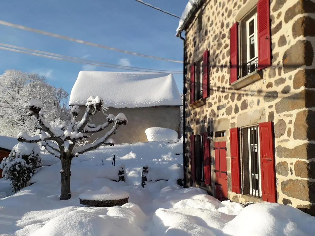 Maison De Caractere Au Coeur Des Volcans D'Auvergne Avec Jardin, Cheminee Et Proche Des Activites Outdoor - Fr-1-742-464 Dienne