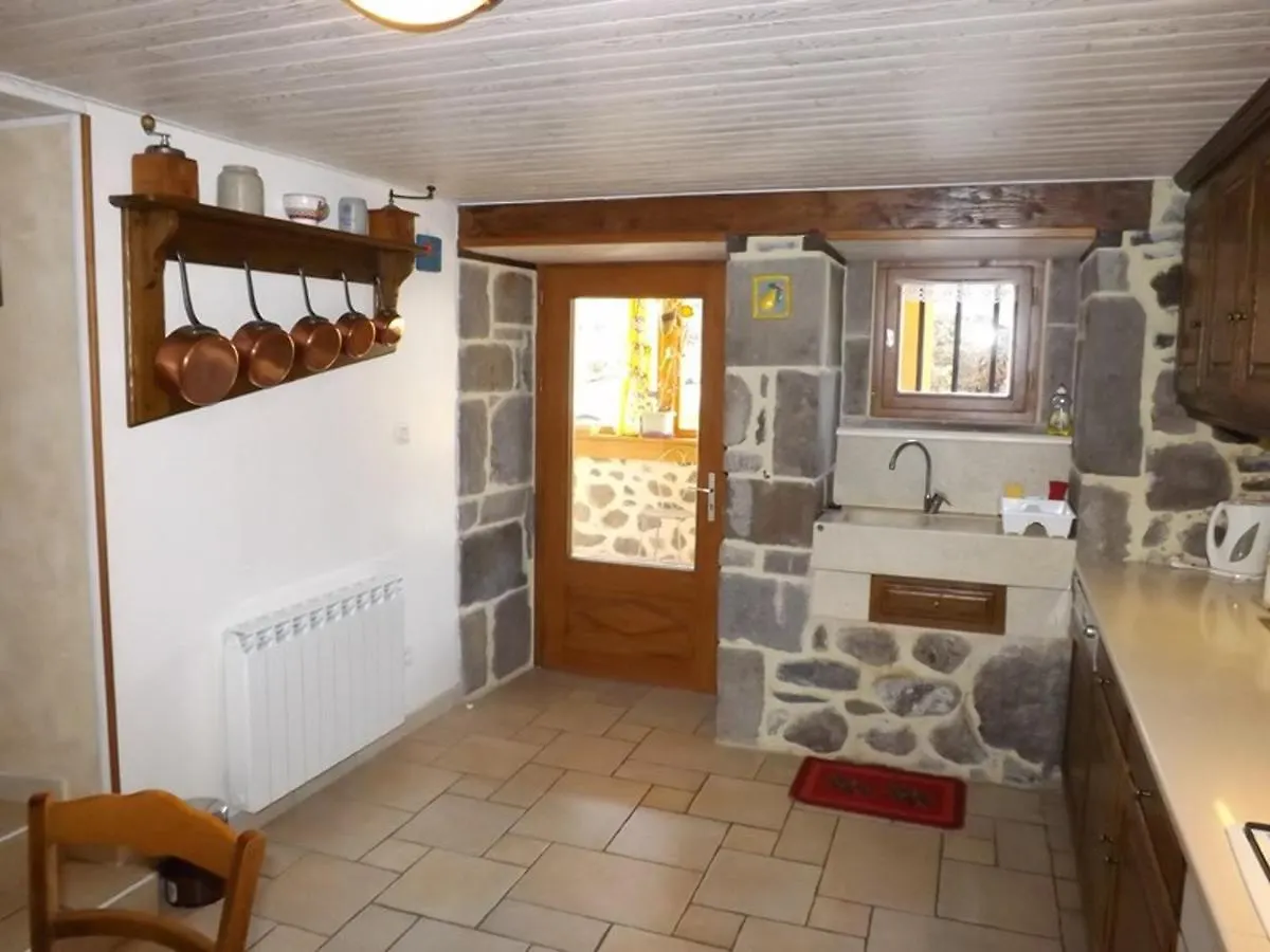 Holiday home Maison De Caractere Au Coeur Des Volcans D'Auvergne Avec Jardin, Cheminee Et Proche Des Activites Outdoor - Fr-1-742-464 Dienne  France