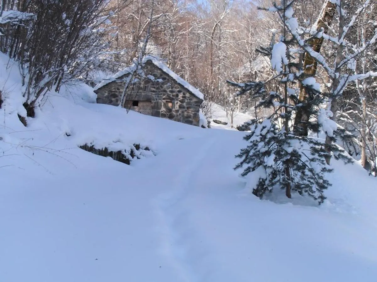 Maison De Caractere Au Coeur Des Volcans D'Auvergne Avec Jardin, Cheminee Et Proche Des Activites Outdoor - Fr-1-742-464 Dienne  0*, Dienne (Cantal)