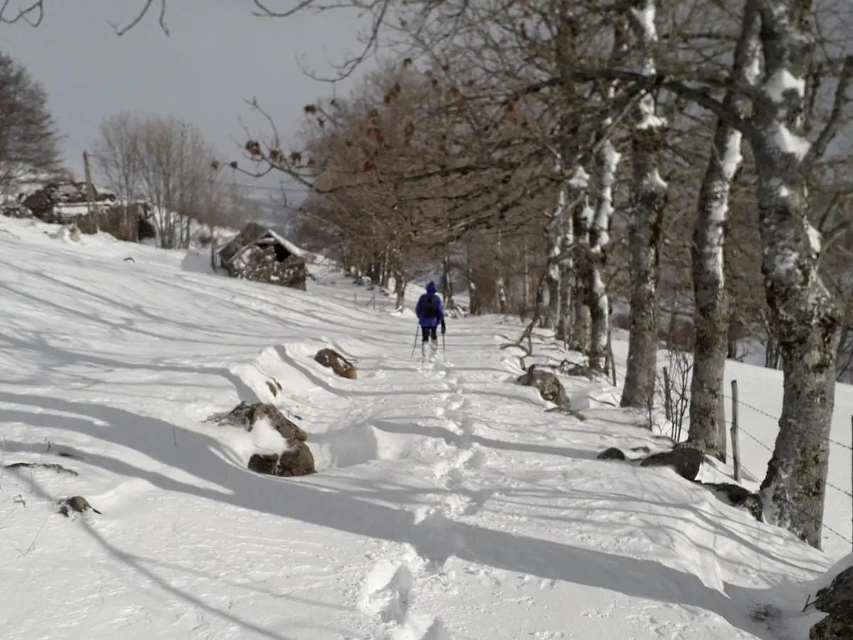 Holiday home Maison De Caractere Au Coeur Des Volcans D'Auvergne Avec Jardin, Cheminee Et Proche Des Activites Outdoor - Fr-1-742-464 Dienne