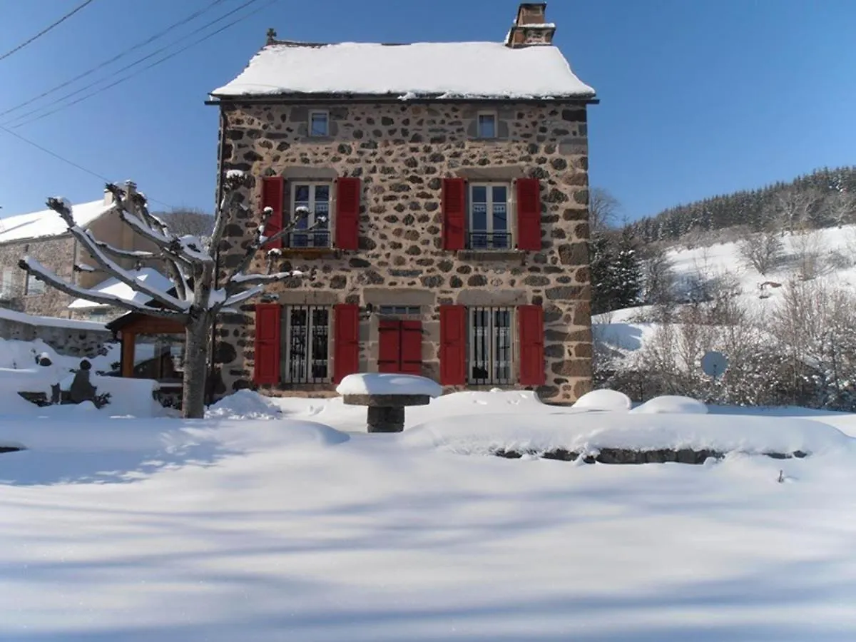 Maison De Caractere Au Coeur Des Volcans D'Auvergne Avec Jardin, Cheminee Et Proche Des Activites Outdoor - Fr-1-742-464 Dienne  0*, Dienne (Cantal) Frankrig